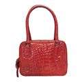 Giorgio Armani Crocodile handbag