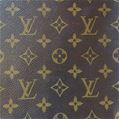 Louis Vuitton Laptop Case